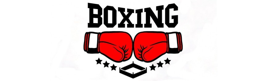 Figuras de colección Boxing - www.lacupuladeltrueno.com