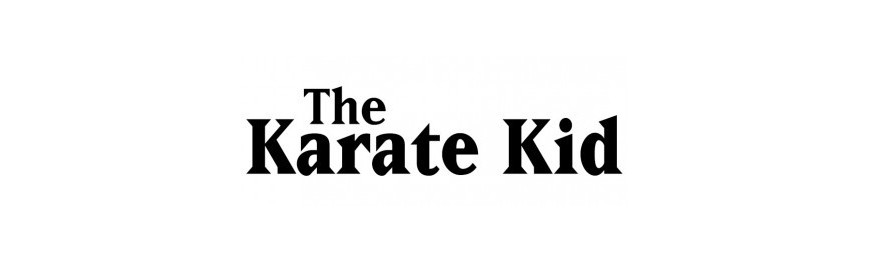 Figuras POP! Karate Kid - www.lacupuladeltrueno.com